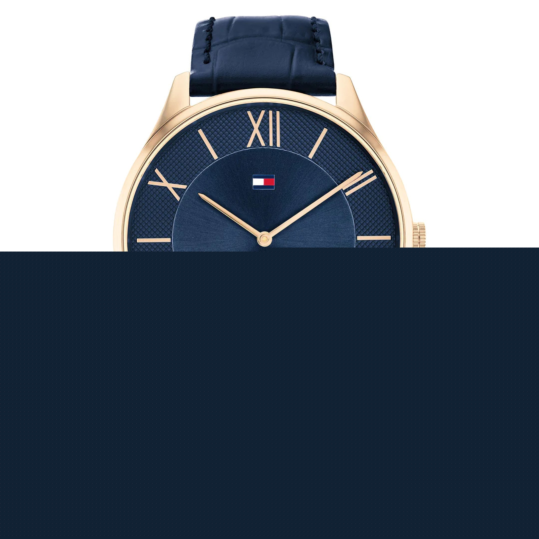 MONTRE TOMMY HILFIGER 1710517